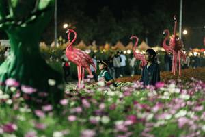 BIB: 
                            <button type="button" onclick="openModal(27337356)" class="btn btn-primary btn-sm float-right btn-popup" data-toggle="modal" data-target=".modal-high-quality">
                        <i class="fas fa-shopping-cart"></i> Add to Cart
                    </button>
                                            <button type="button" onclick="isThisMe(27337356, true)" class="btn btn-success btn-sm float-right btn-popup btn-isme hidden" data-toggle="tooltip" data-placement="bottom" title="นี่คือรูปของคุณใช่ไหม คลิกที่นี่เพื่อเอาเข้าอัลบั้ม">
                        <i class="fas fa-plus"></i> Add to album
                    </button>
                    <button type="button" onclick="isThisMe(27337356, false)" class="btn btn-warning btn-sm float-right btn-popup btn-isnotme hidden">
                        <i class="fas fa-ban"></i> Remove from album
                    </button>